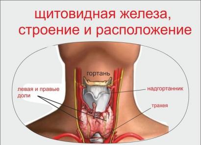 Виды увеличения щитовидной железы